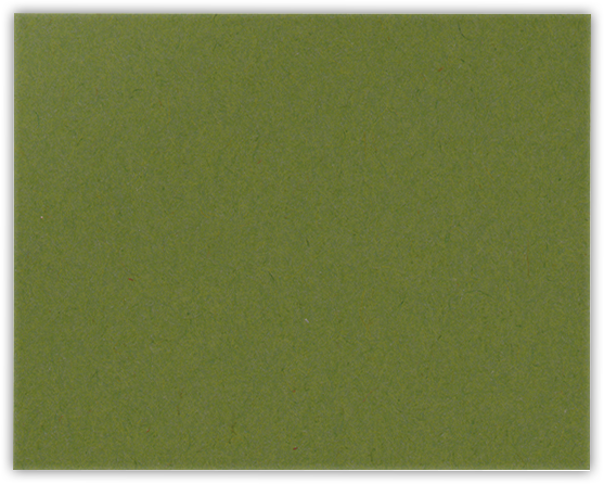 Jellybean Green Vellum 100lb 9 1/2 x 12 Landscape or Portrait Certificate Holders with Square Corner Slits (Holds 8 1/2 x 11 Certificate)