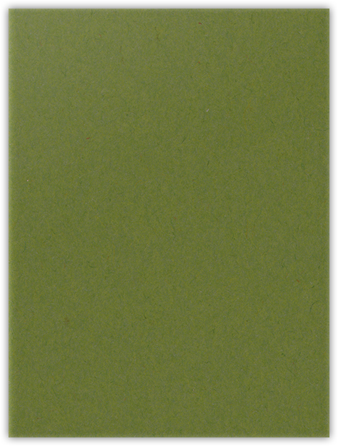 Jellybean Green Vellum 100lb 9 x 12 Two Pocket Folders with 4 Inch Pockets