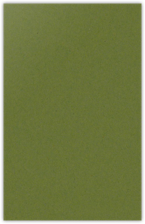 Jellybean Green Vellum 100lb 6 x 9 Two Pocket Half Size Folders with 3 Inch Pockets