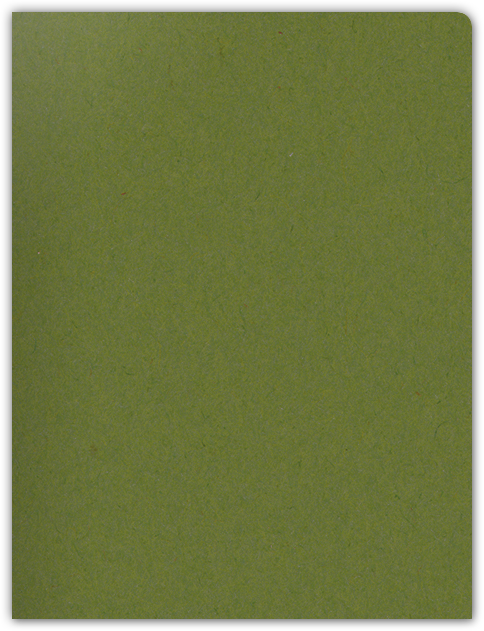 Jellybean Green Vellum 100lb 9 x 12 Two Pocket Round Corner Folders with 4 1/4 Inch Pocket