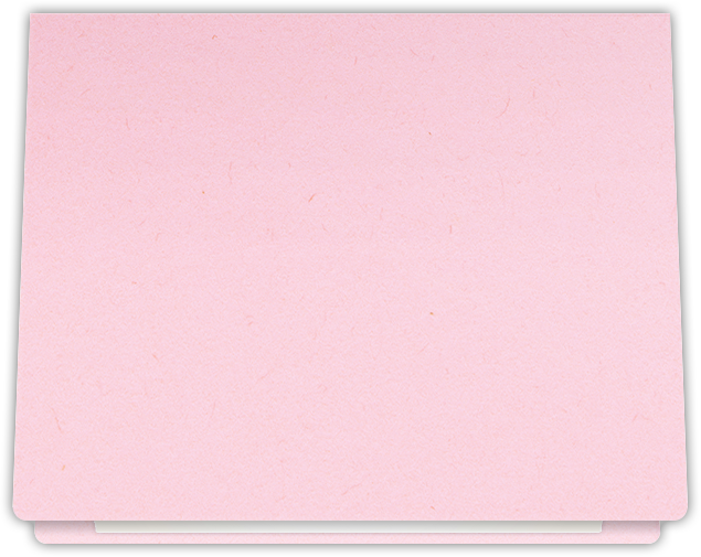 Pink Lemonade Vellum 100lb 9 1/2 x 12 Landscape or Portrait Certificate Holders with Rounded Corner Slits