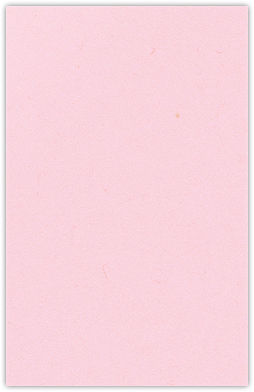 Pink Lemonade Vellum 100lb 6 x 9 Two Pocket Half Size Folders with 3 Inch Pockets