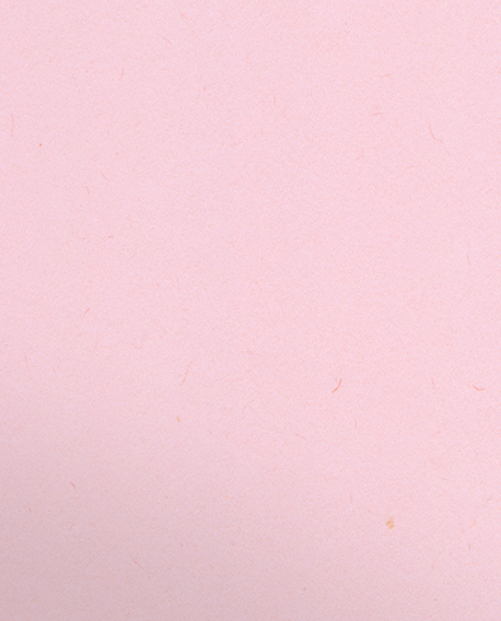 Pink Lemonade Vellum 100lb 9 1/2 x 11 3/4 Two Pocket Folders with 4 1/2 Inch Pockets and 1 Inch Reinforced Top and Edges