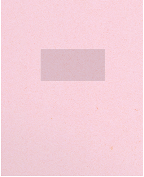 Pink Lemonade Vellum 100lb 9 1/2 x 11 3/4 Two Pocket Folders with 4 1/2 Inch Pockets and 1 Inch Reinforced Top and Edges