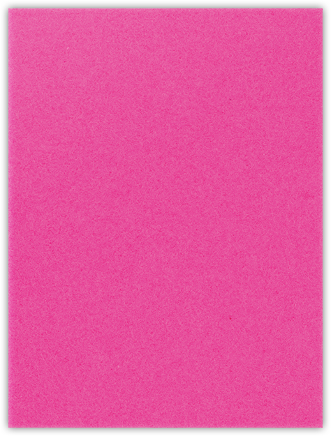 Razzle Berry Vellum 100lb 9 x 12 Two Pocket Folders with 4 Inch Pockets