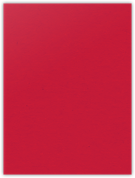 Wild Cherry Vellum 100lb 9 x 12 Two Pocket Folders with 4 Inch Pockets