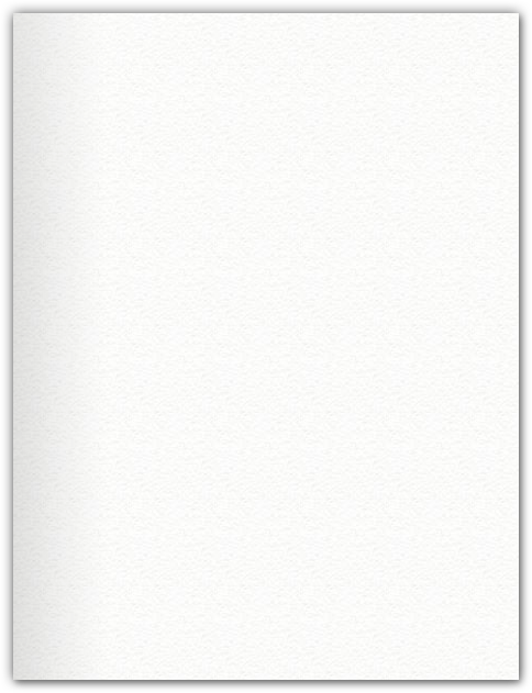 White Felt 80lb 9 x 12 Two Pocket Folders with 4 Inch Round Corner Pockets