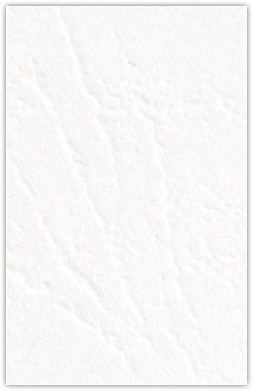White Cordwain 90lb 6 x 9 Two Pocket Half Size Folders with 3 Inch Pockets