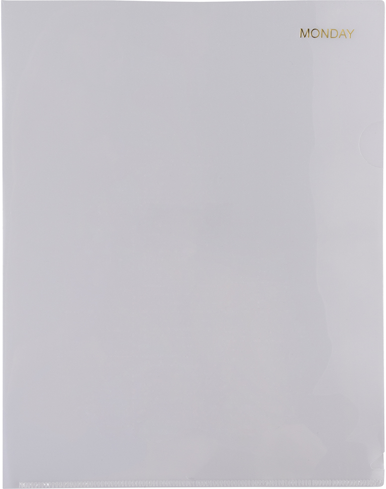 Assorted Days of the Week Plastic Sleeves - 5 Pack