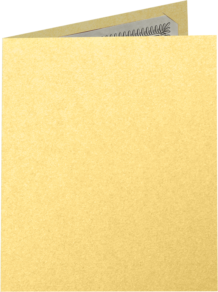 Gold Metallic 9 1/2 x 12 Landscape Certificate Holders with Square Corner Slits