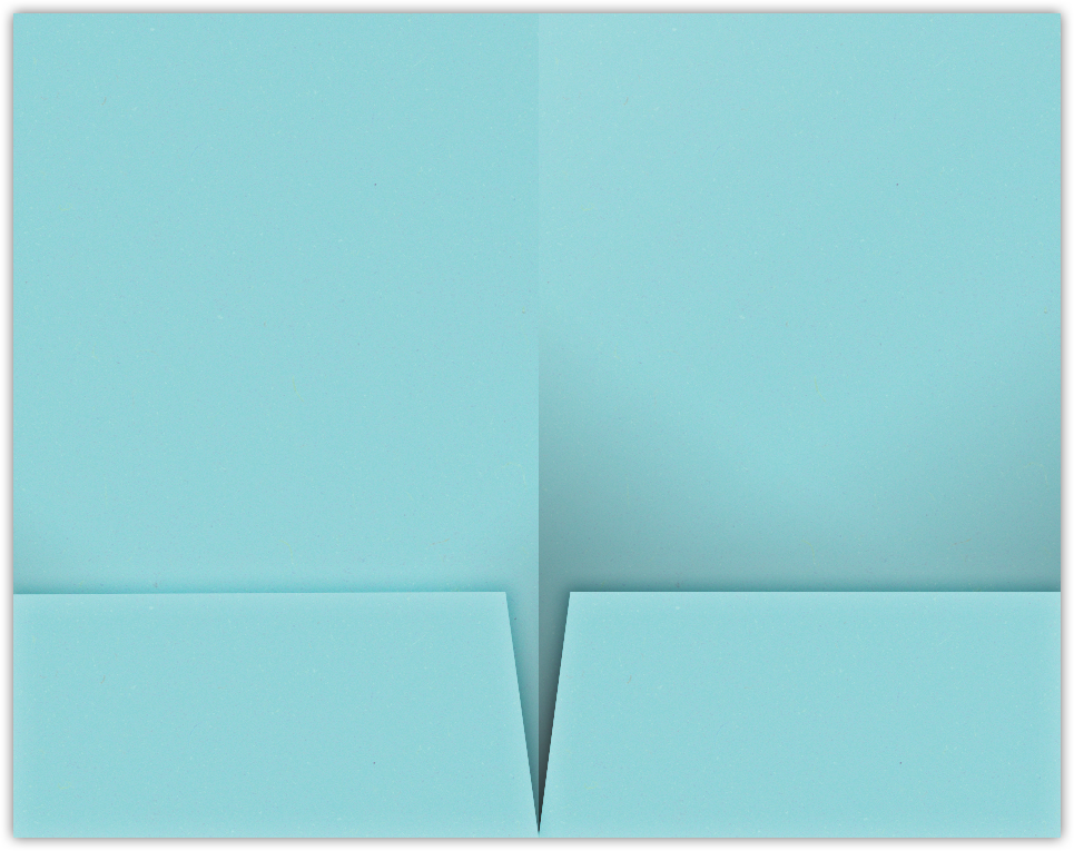 Berrylicious Vellum 100lb 9 1/2 x 14 1/2 Two Pocket Legal Folders with 4 1/2 Inch Pockets