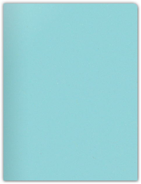 Berrylicious Vellum 100lb 9 x 12 Two Pocket Round Corner Folders with 4 1/4 Inch Pocket