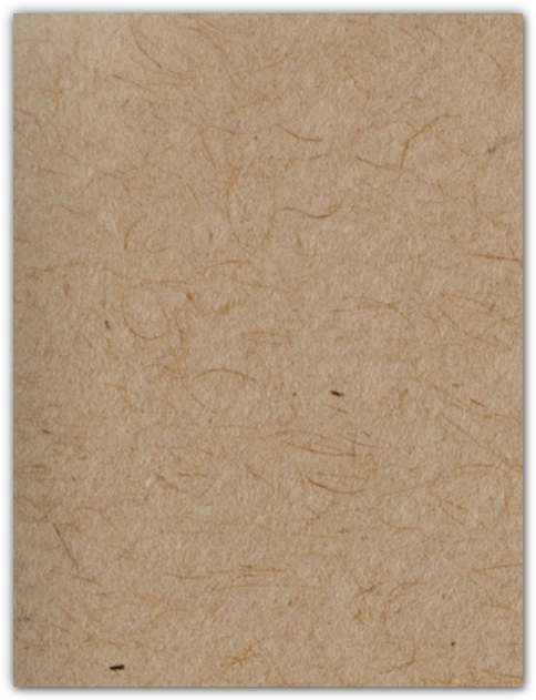 Desert Storm Smooth 80lb 9 x 12 Two Pocket Folders with 4 Inch Round Corner Pockets