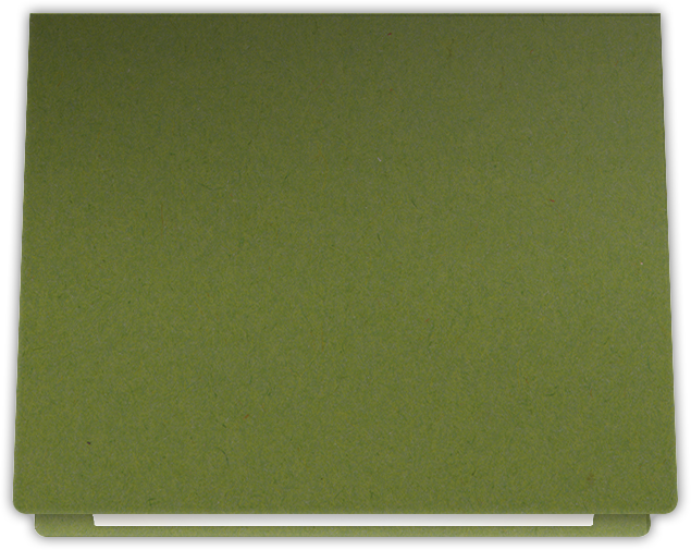 Jellybean Green Vellum 100lb 9 1/2 x 12 Landscape or Portrait Certificate Holders with Rounded Corner Slits