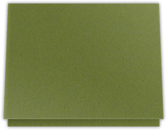 Jellybean Green Vellum 100lb 9 1/2 x 12 Landscape or Portrait Certificate Holders with Square Corner Slits (Holds 8 1/2 x 11 Certificate)