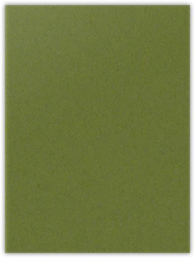 Jellybean Green Vellum 100lb 9 x 12 Two Pocket Folders with 4 Inch Pockets