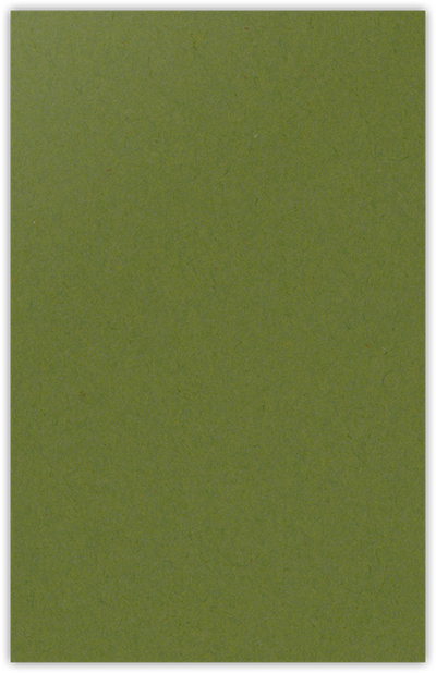Jellybean Green Vellum 100lb 9 1/2 x 14 1/2 Two Pocket Legal Folders with 4 1/2 Inch Pockets