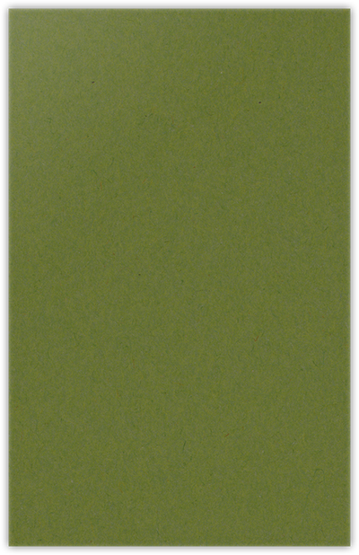 Jellybean Green Vellum 100lb 6 x 9 Two Pocket Half Size Folders with 3 Inch Pockets