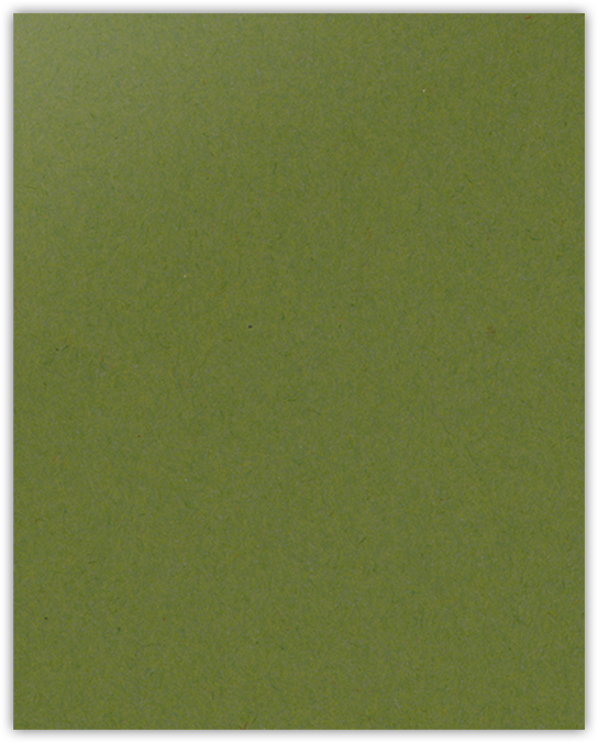 Jellybean Green Vellum 100lb 9 x 12 Two Pocket Folders with 4 1/4 Inch Deep Box Pockets and 1/4 Inch Expansion with Double Score Spine