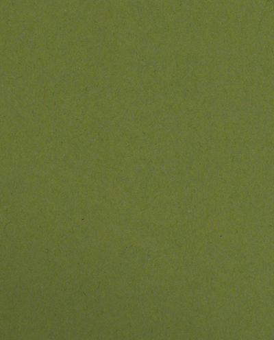Jellybean Green Vellum 100lb 9 1/2 x 11 3/4 Two Pocket Folders with 4 1/2 Inch Pockets and 1 Inch Reinforced Top and Edges