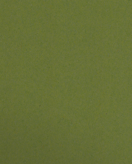 Jellybean Green Vellum 100lb 9 1/2 x 11 3/4 Two Pocket Folders with 4 1/2 Inch Pockets and 1 Inch Reinforced Top and Edges
