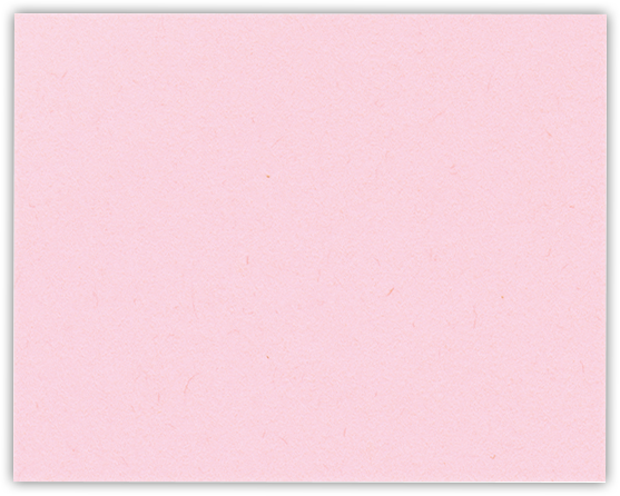 Pink Lemonade Vellum 100lb 9 1/2 x 12 Landscape or Portrait Certificate Holders with Square Corner Slits (Holds 8 1/2 x 11 Certificate)