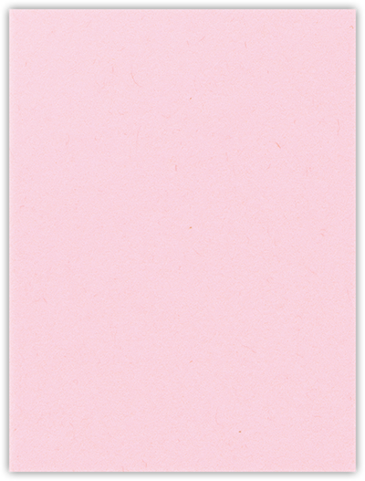 Pink Lemonade Vellum 100lb 9 x 12 Two Pocket Folders with 4 Inch Pockets
