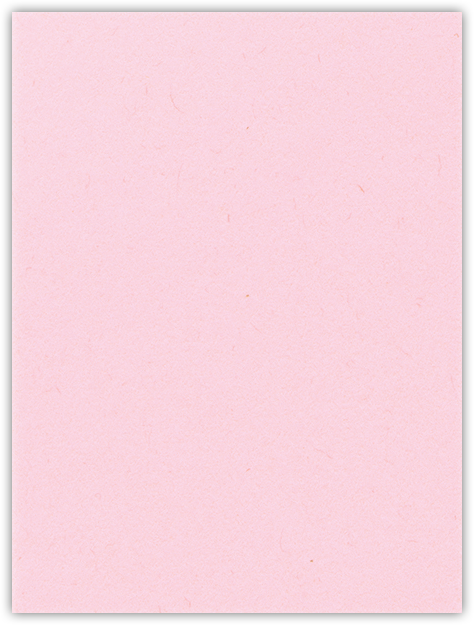 Pink Lemonade Vellum 100lb 9 x 12 Two Pocket Folders with 4 Inch Pockets