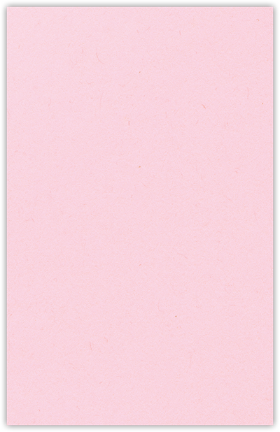 Pink Lemonade Vellum 100lb 9 1/2 x 14 1/2 Two Pocket Legal Folders with 4 1/2 Inch Pockets