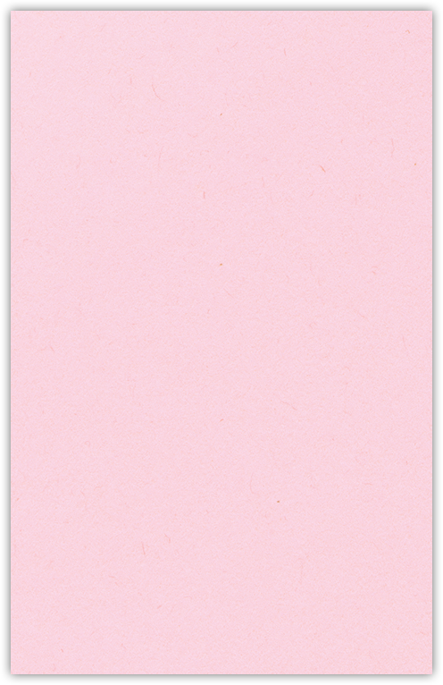 Pink Lemonade Vellum 100lb 9 1/2 x 14 1/2 Two Pocket Legal Folders with 4 1/2 Inch Pockets