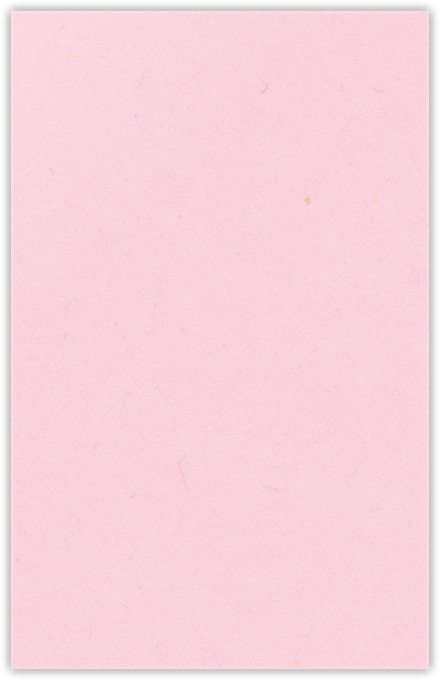 Pink Lemonade Vellum 100lb 6 x 9 Two Pocket Half Size Folders with 3 Inch Pockets