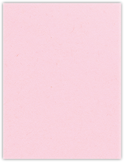 Pink Lemonade Vellum 100lb 9 x 12 Two Pocket Folders with 4 Inch Curved Pockets