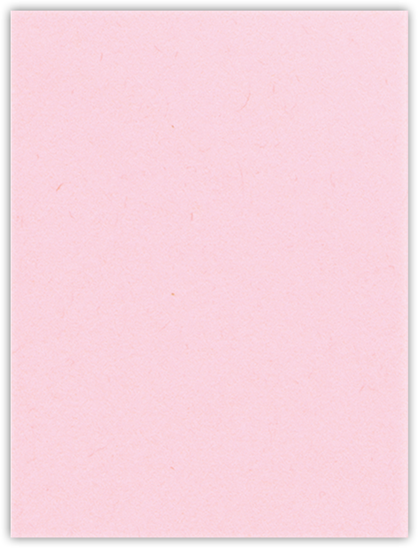 Pink Lemonade Vellum 100lb 9 x 12 Two Pocket Folders with 4 Inch Curved Pockets