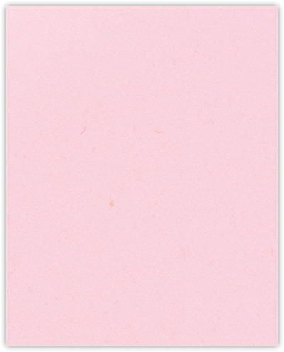 Pink Lemonade Vellum 100lb 9 x 12 Two Pocket Folders with 4 1/4 Inch Deep Box Pockets and 1/4 Inch Expansion with Double Score Spine