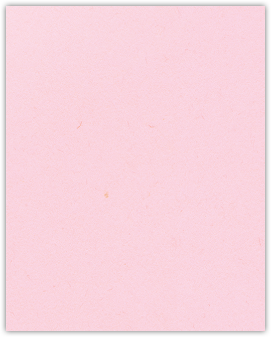 Pink Lemonade Vellum 100lb 9 x 12 Two Pocket Folders with 4 1/4 Inch Deep Box Pockets and 1/4 Inch Expansion with Double Score Spine