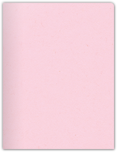 Pink Lemonade Vellum 100lb 9 x 12 Two Pocket Round Corner Folders with 4 1/4 Inch Pocket