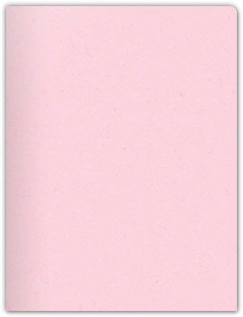 Pink Lemonade Vellum 100lb 9 x 12 Two Pocket Round Corner Folders with 4 1/4 Inch Pocket