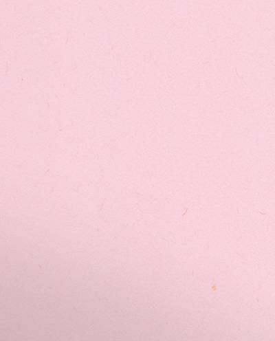 Pink Lemonade Vellum 100lb 9 1/2 x 11 3/4 Two Pocket Folders with 4 1/2 Inch Pockets and 1 Inch Reinforced Top and Edges