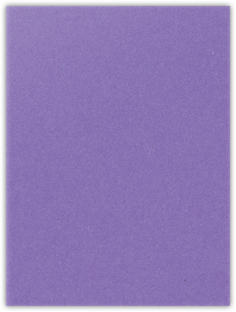Grape Jelly Vellum 100lb 9 x 12 Two Pocket Folders with 4 Inch Pockets