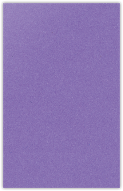 Grape Jelly Vellum 100lb 6 x 9 Two Pocket Half Size Folders with 3 Inch Pockets