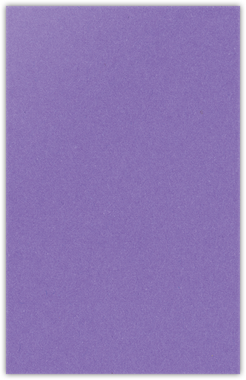 Grape Jelly Vellum 100lb 6 x 9 Two Pocket Half Size Folders with 3 Inch Pockets