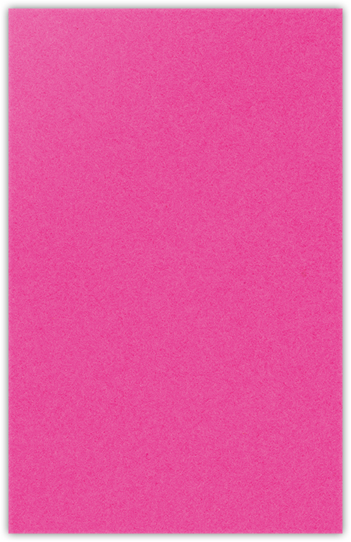 Razzle Berry Vellum 100lb 6 x 9 Two Pocket Half Size Folders with 3 Inch Pockets