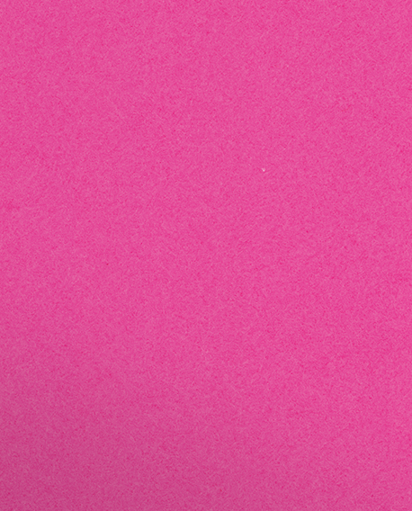 Razzle Berry Vellum 100lb 9 1/2 x 11 3/4 Two Pocket Folders with 4 1/2 Inch Pockets and 1 Inch Reinforced Top and Edges