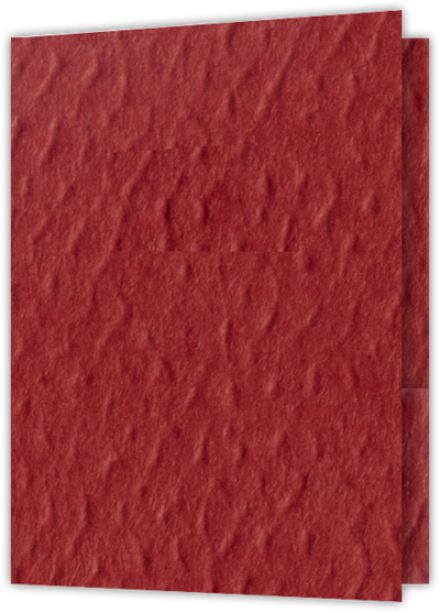 Red Felt 80lb 9 x 12 Two Pocket Folders with 4 Inch Pockets