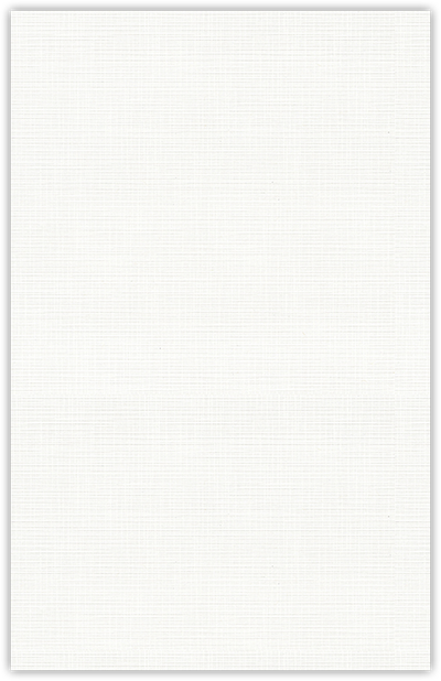 Bright White Linen 100lb 9 1/2 x 14 1/2 Two Pocket Legal Folders with 4 1/2 Inch Pockets