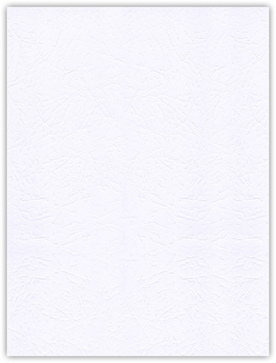 Marble Crush White Smooth 12pt C1S 9 x 12 Two Pocket Folders with 4 Inch Pockets