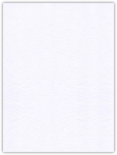 Marble Crush White Smooth 12pt C1S 9 x 12 Two Pocket Folders with 4 Inch Pockets