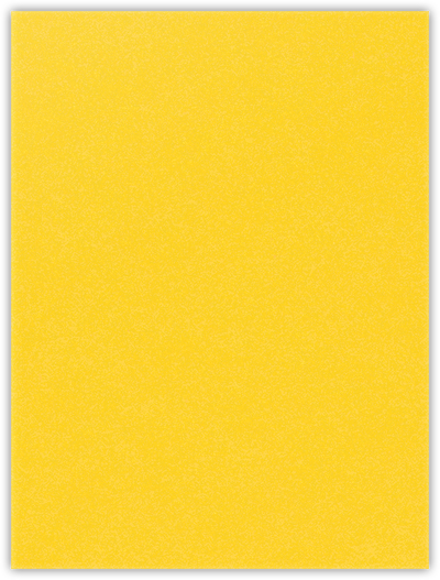 Lemon Drop Vellum 100lb 9 x 12 Two Pocket Folders with 4 Inch Pockets