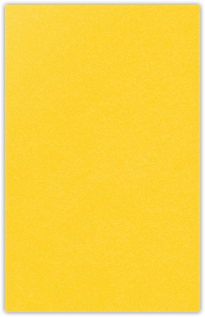 Lemon Drop Vellum 100lb 6 x 9 Two Pocket Half Size Folders with 3 Inch Pockets