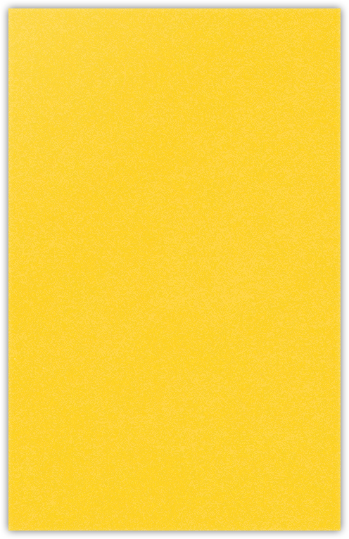 Lemon Drop Vellum 100lb 6 x 9 Two Pocket Half Size Folders with 3 Inch Pockets